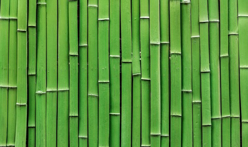 bambus-wand
